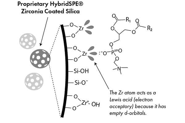 HybridSPE sorbent for dispersive pipette XTRaction