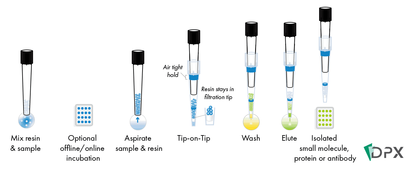 Tip-on-Tip SPE for immunoaffinity purification