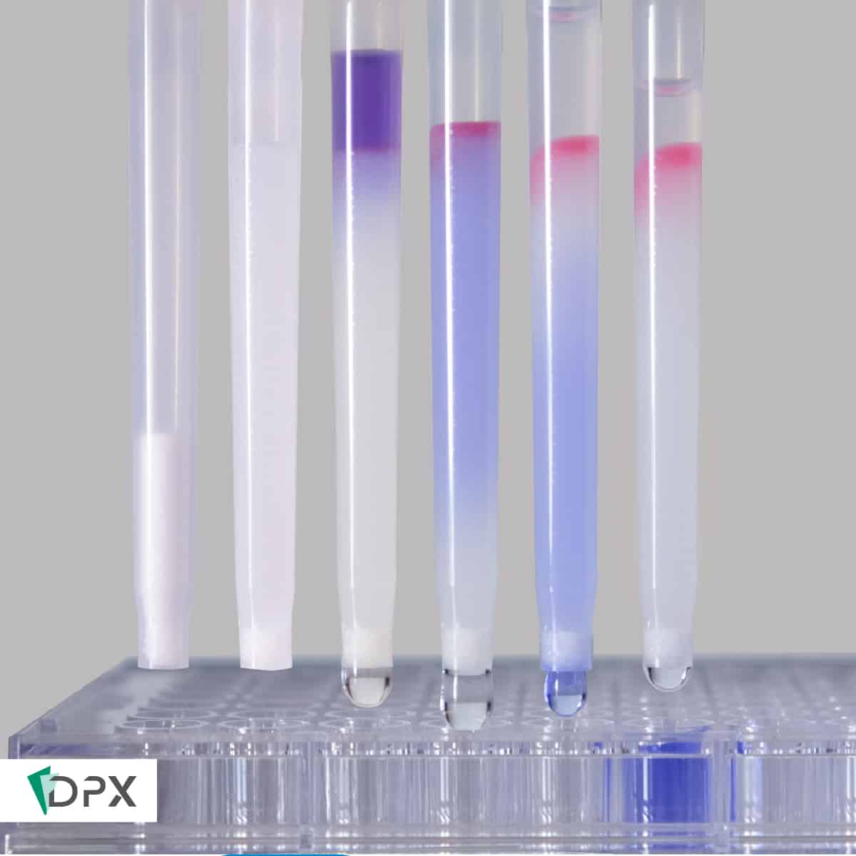 INTip size exclusion chromatography
