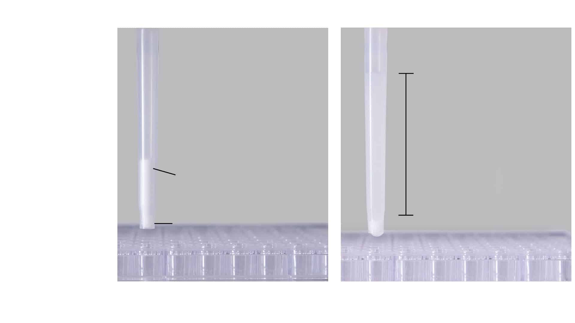 INTip size exclusion chromatography